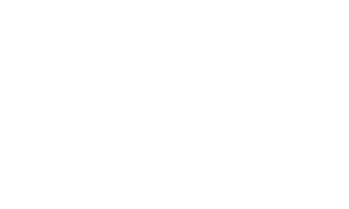 Campaigns and Welfare logo