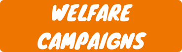 Welfare Campaigns