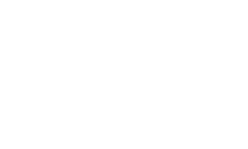 International Subcommittee logo