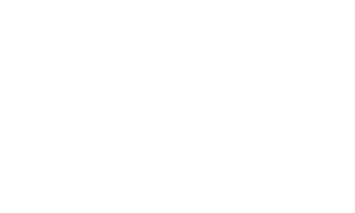 International Officer logo