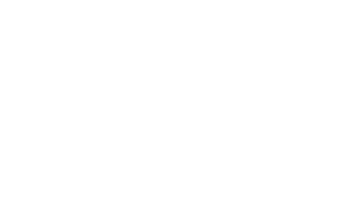 BAME Liberation Society logo