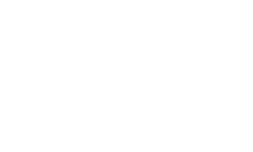 Disabled Students Liberation Society logo