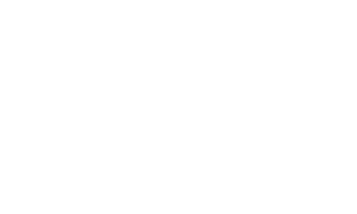 Information for Councillors logo