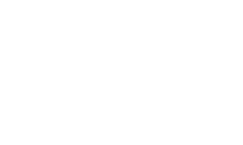 Officer Updates