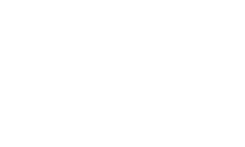Officer Profile