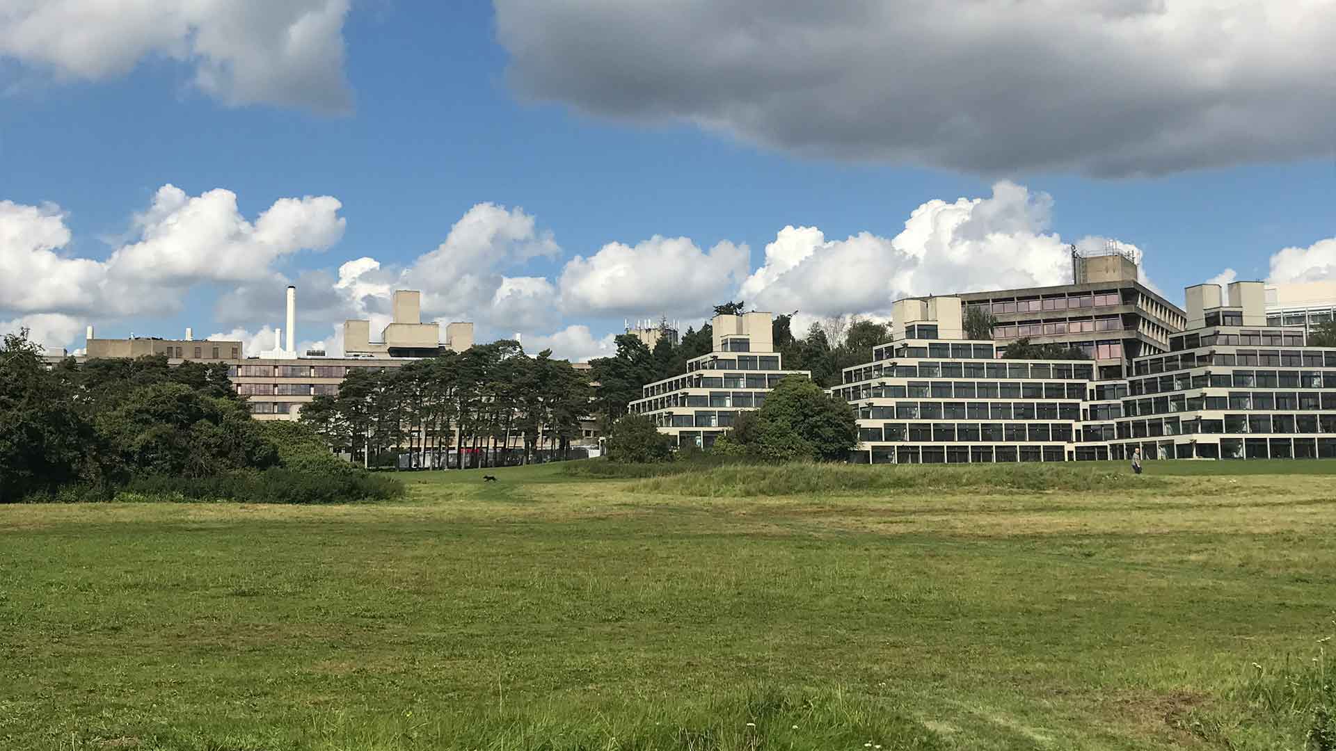 Campus buildings on a sunny day
