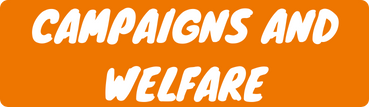 Campaigns and Welfare