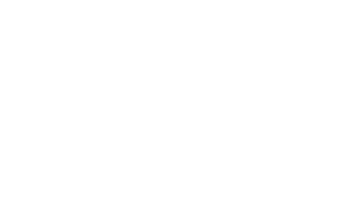 Our Governance Structure logo