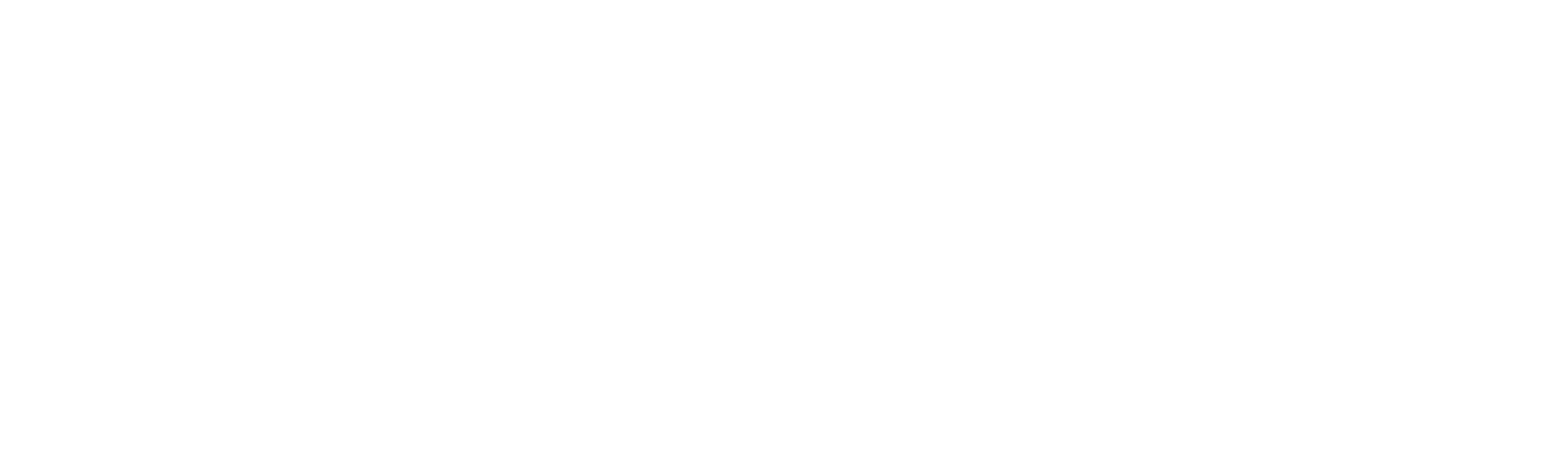 Our Governance Structure logo