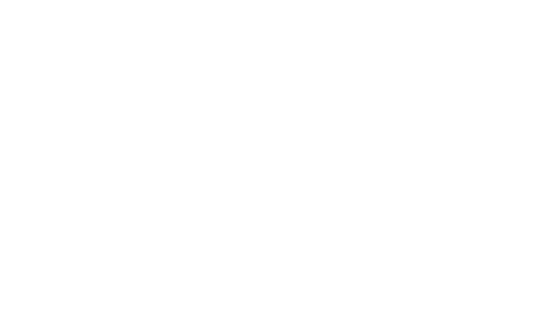 Our Strategy logo