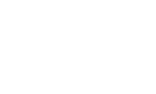 Advocacy Strategy logo