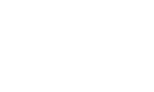 Organisation Strategy logo