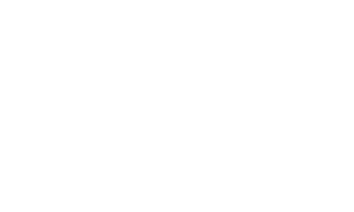 Student Experience Strategy logo